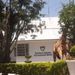 Braeside Thika Fees Structure: All You Need to Know