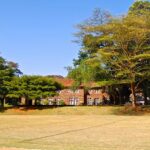Who Owns Braeburn Schools: All You Need to Know